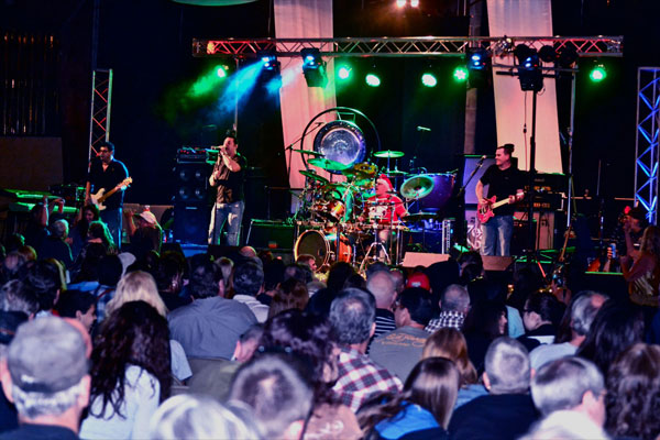 Julian Simonelli - Bassist