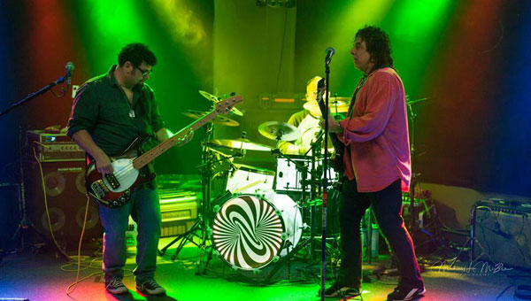 Julian Simonelli - Bassist